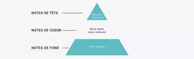 Pyramide Olfactive du e-liquide Menthe Glaciale