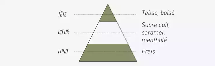 Pyramide Olfactive du e-liquide T Menthol