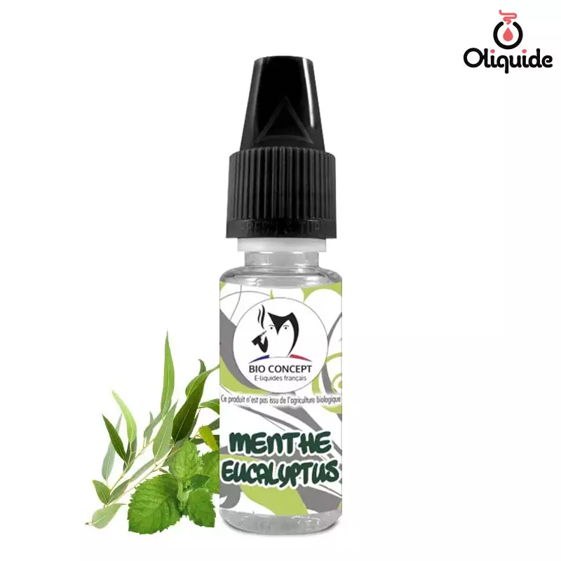 elfbar nachfüll pod läuft aus Arôme Menthe Eucalyptus dès 2,38 €