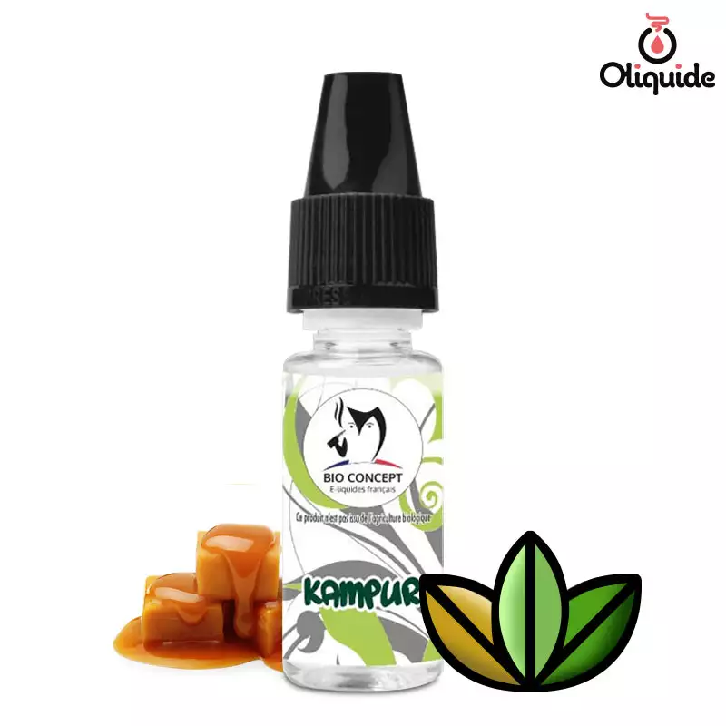 Arôme Classic Kampur dès 2,38 €