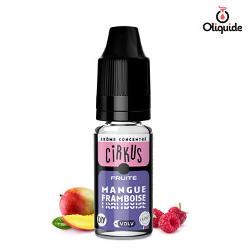 Concentré Mangue Framboise