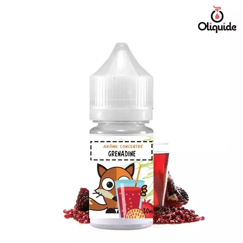 Concentr Grenadine ds 11,31 Concentr Grenadine ds 11,31