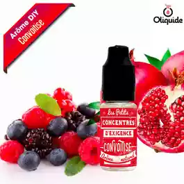 Concentré Fruits des Bois