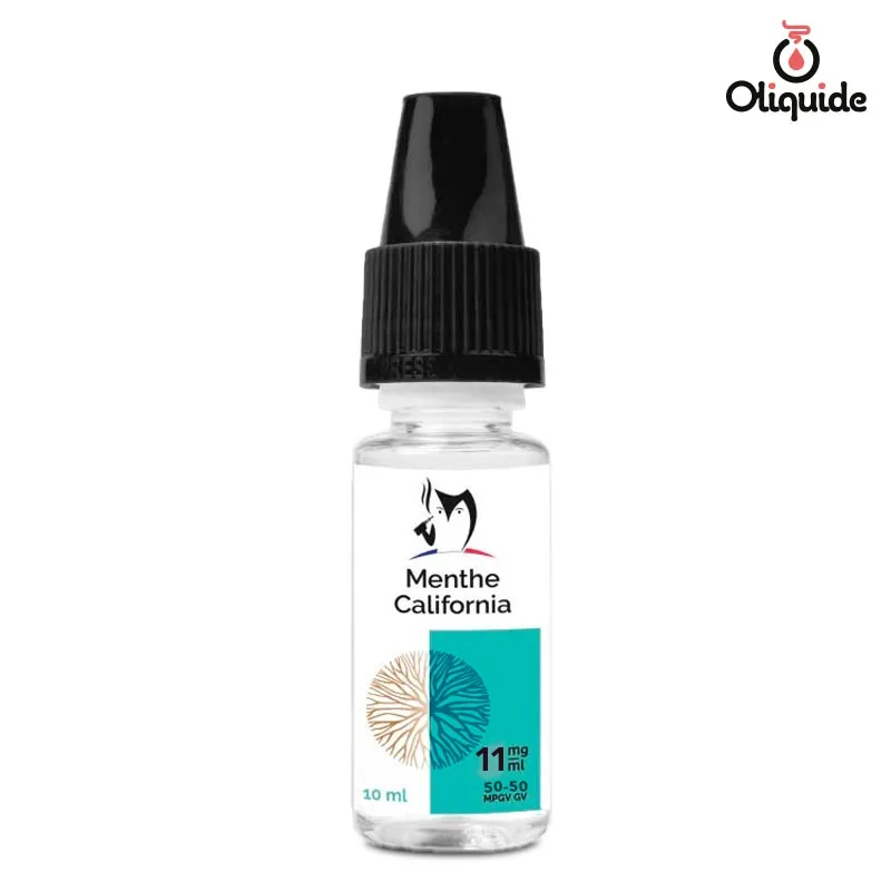 elfbar nachfüll pod läuft aus Eliquide Bioconcept Menthe California 10ml dès 1,9 €