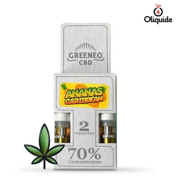 Cartouche Stick CBD Ananas 70% x2