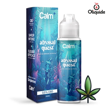 Abyssal Quest CBD 250 mg - 50 ml - Collection Calm +