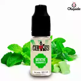 Menthe Chlorophylle - Collection CirKus