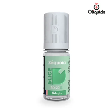 Séquoia de la collection D'Lice 