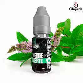 Menthe verte