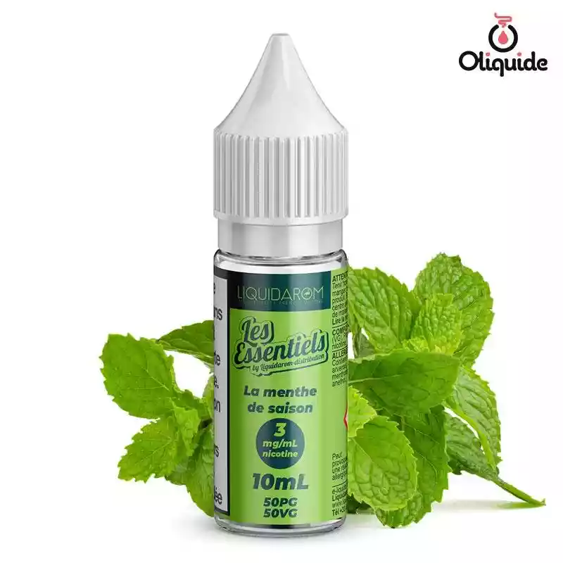 elfbar nachfüll pod läuft aus E-liquide saveur Menthe