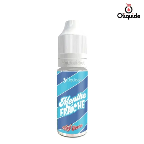 Liquidéo Wpuff Menthe Fraîche de la marque Liquidéo