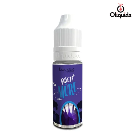Liquidéo Freeze Mûre de la marque Liquidéo