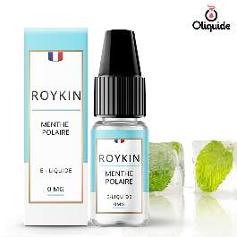 Liquide Roykin Original Menthe Polaire pas cher