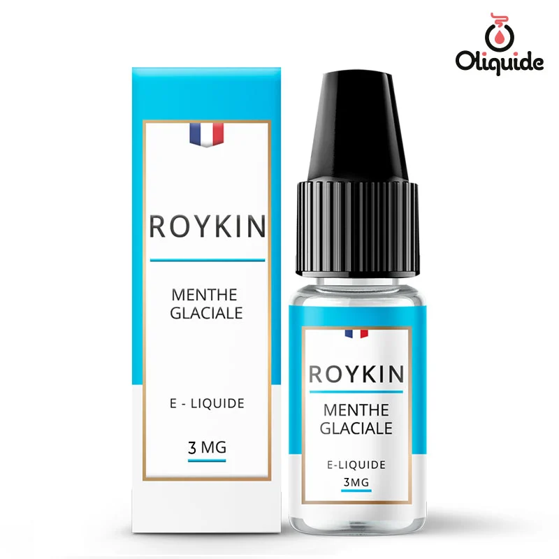 elfbar nachfüll pod läuft aus Eliquide Roykin Menthe Glaciale 10ml dès 2,88 €