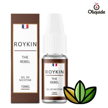 Roykin Salt The Rebel de la marque Roykin
