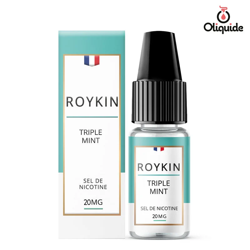 Eliquide Roykin Salt Triple Mint 10ml ds 2,89