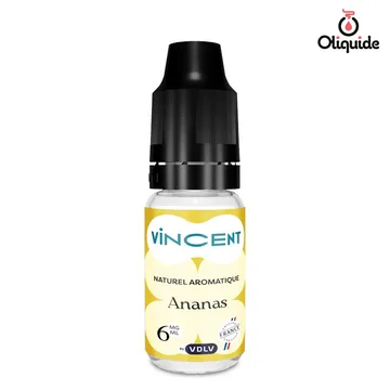 Ananas de la collection Vdlv - Les incontournables 