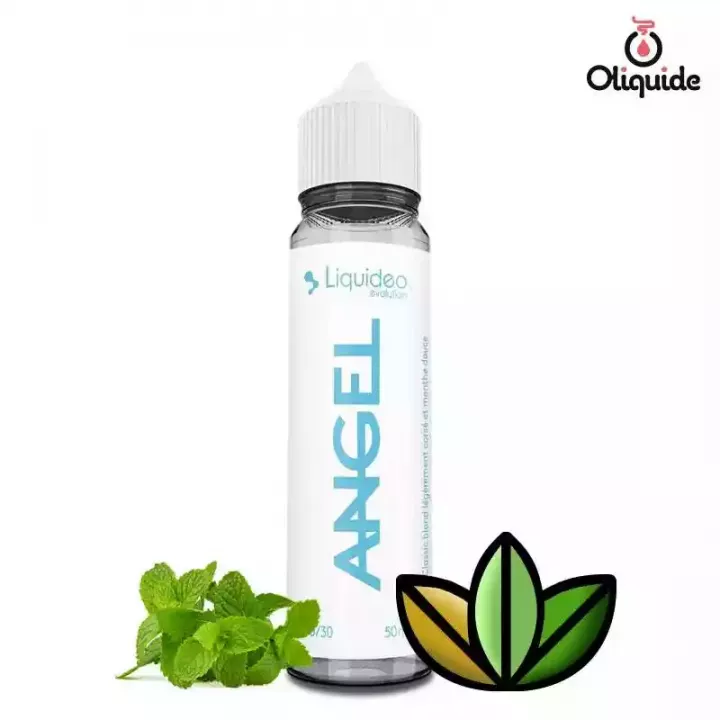 LIQUIDEO Gary Guet - E-liquide 50ml view 15