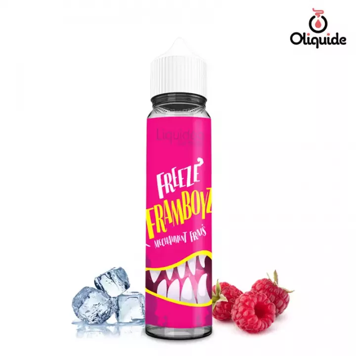 Freeze Pomme 10 mL - Freeze (Liquideo) view 26