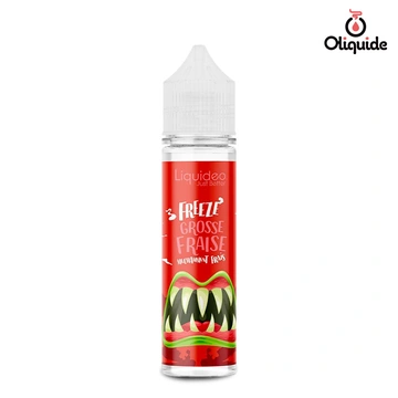 Freeze Grosse Fraise 50 ml - Collection Freeze