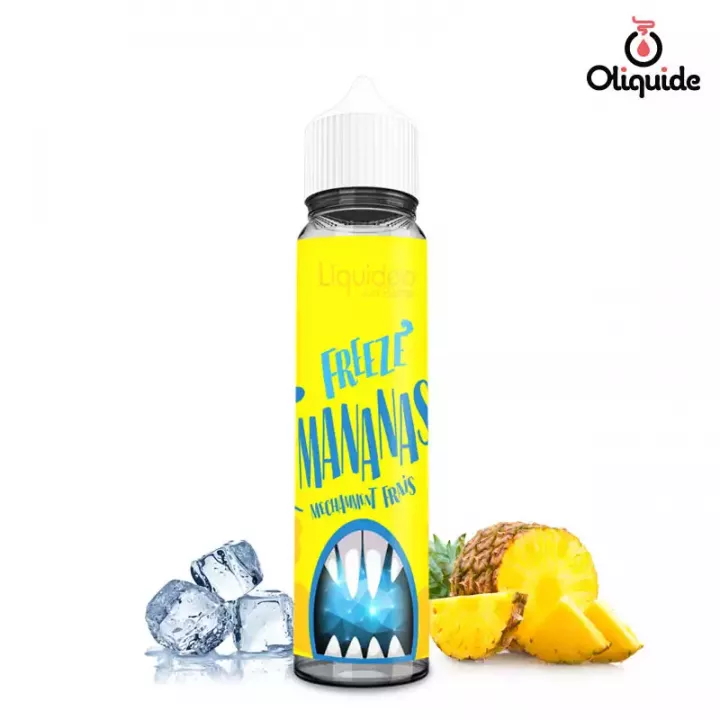 LIQUIDEO Pastek - E-liquide 50ml view 8