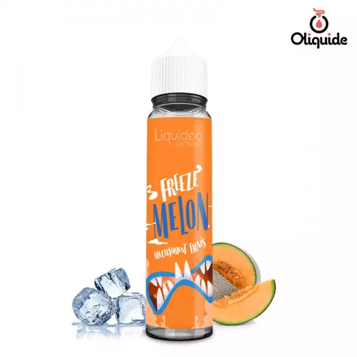 LIQUIDEO Gary Guet - E-liquide 50ml view 17