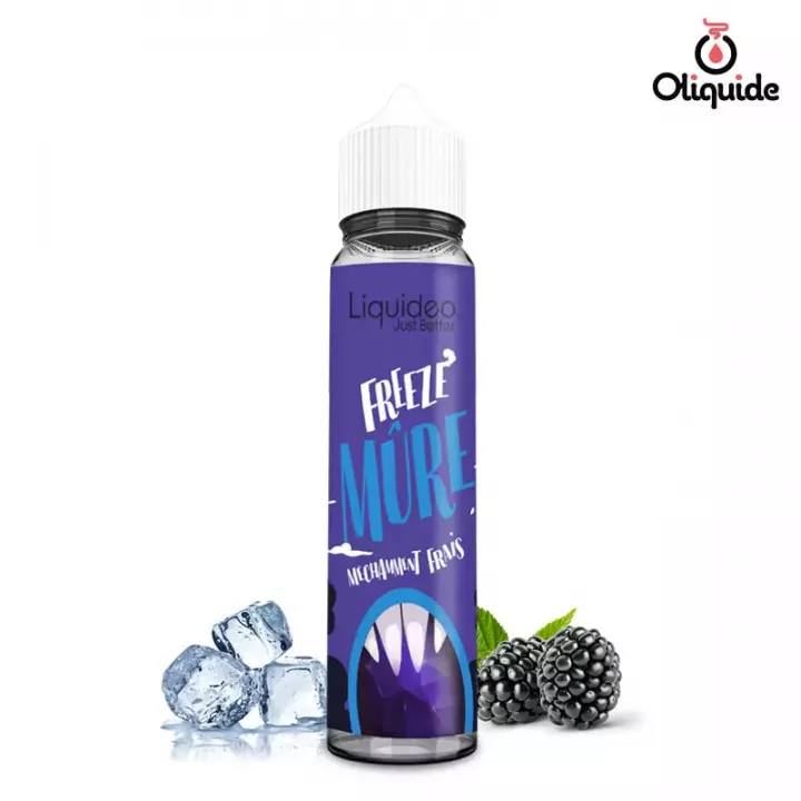 Freeze Pomme 10 mL - Freeze (Liquideo) view 30