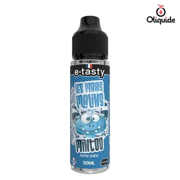 Mintoo E-Tasty 50 ml