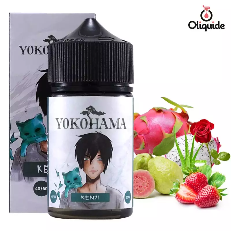 Eliquide H2O Yokohama Kenji 50ml dès 10,22 €