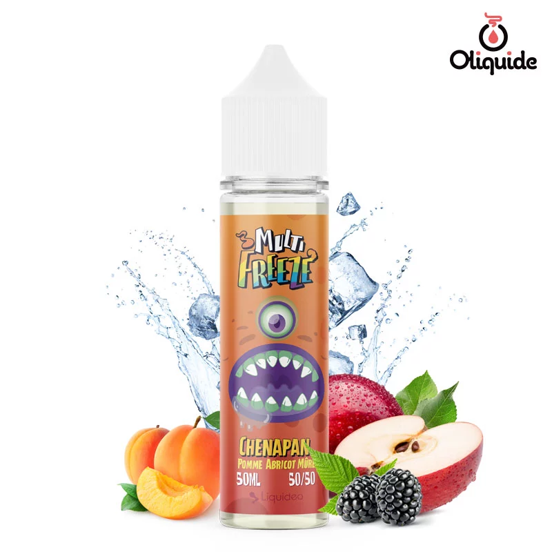 Eliquide Liquideo Multi Freeze Chenapan 50ml ds 9,27