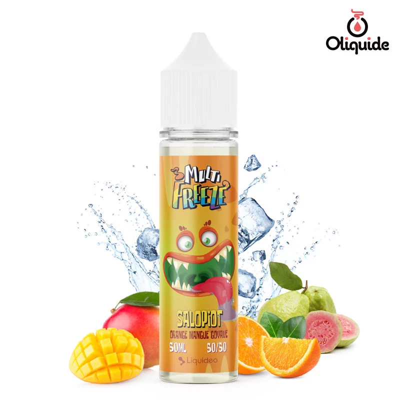 Eliquide Liquideo Multi Freeze Salopiot 50ml dès 9,27 €