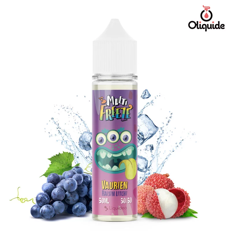 Eliquide Liquideo Multi Freeze Vaurien 50ml dès 9,27 €