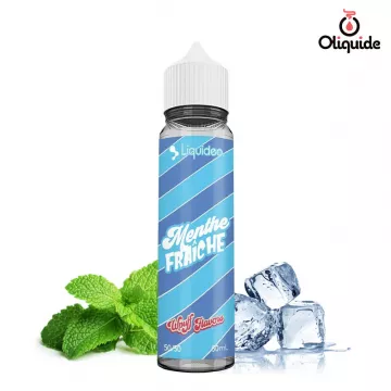 Menthe Fraîche 50 ml de la collection Wpuff Flavors 