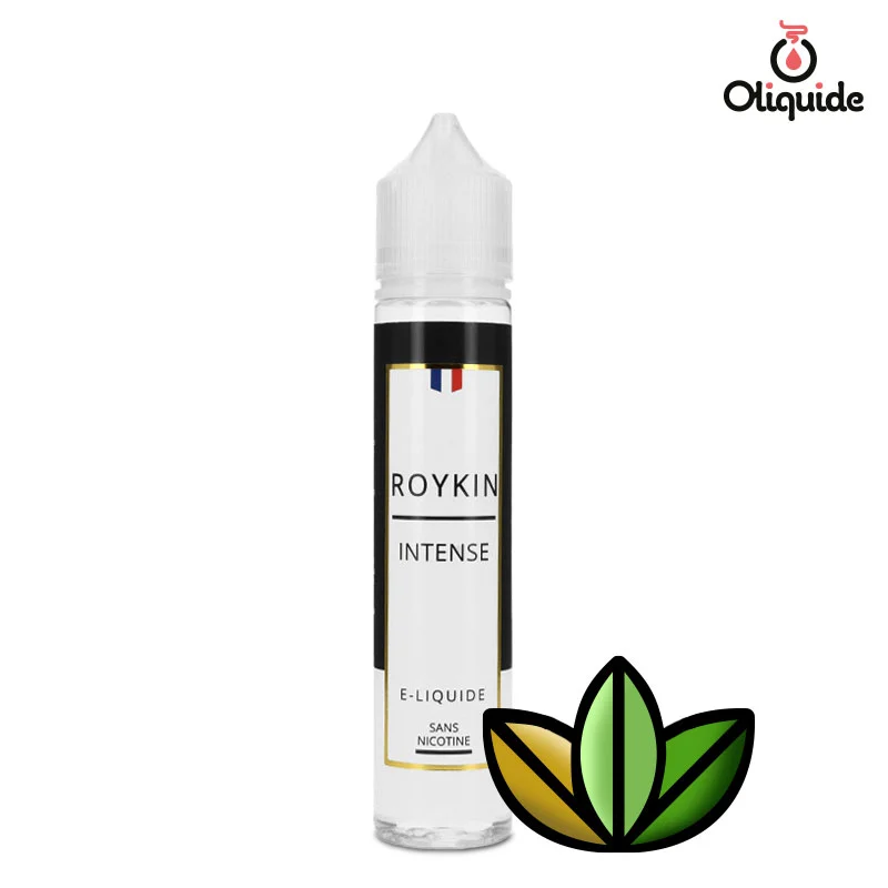 elfbar nachfüll pod läuft aus E-Liquide Chewing-gum Sel de Nicotine Sel de Nicotine- Roykin Nicotine 10 mg main image 0