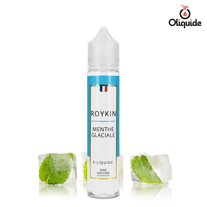 elfbar nachfüll pod läuft aus Eliquide Roykin Menthe Glaciale 50ml dès 8,47 €