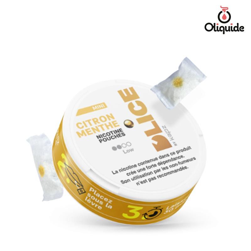 Pouches D'Lice Citron Menthe ds 3,8 sur Oliquide Pouches D'Lice Citron Menthe ds 3,8 sur Oliquide