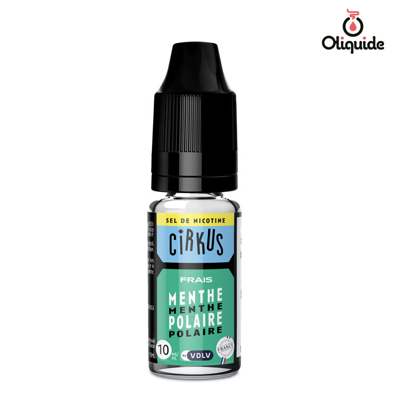 elfbar nachfüll pod läuft aus Menthe Polaire Vapostore 10ml