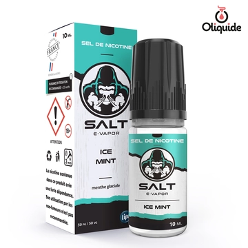 Ice Mint de la collection Salt E-Vapor 